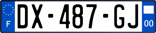 DX-487-GJ