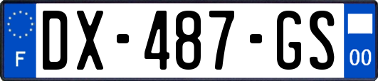 DX-487-GS