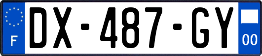DX-487-GY