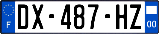 DX-487-HZ