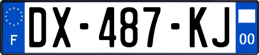 DX-487-KJ