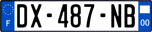 DX-487-NB