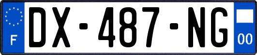 DX-487-NG