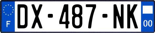 DX-487-NK