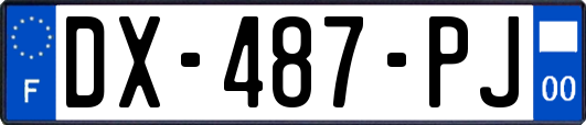 DX-487-PJ