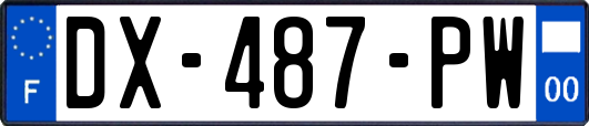 DX-487-PW