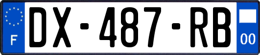 DX-487-RB