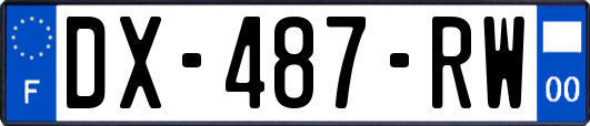 DX-487-RW