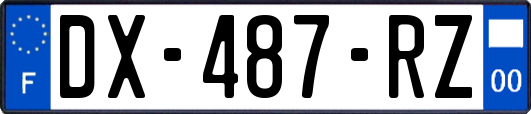 DX-487-RZ
