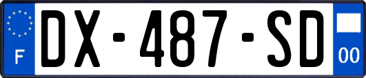 DX-487-SD