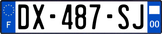 DX-487-SJ