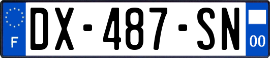 DX-487-SN
