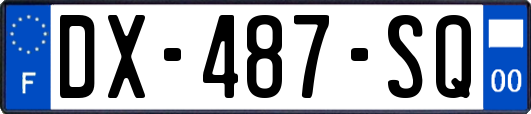 DX-487-SQ