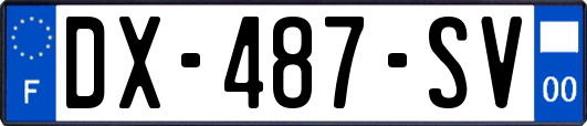 DX-487-SV