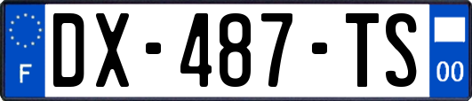 DX-487-TS