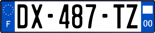DX-487-TZ