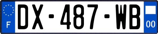 DX-487-WB
