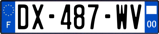 DX-487-WV