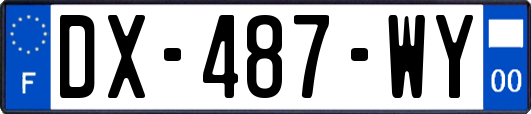 DX-487-WY