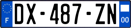 DX-487-ZN