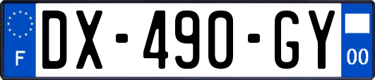 DX-490-GY
