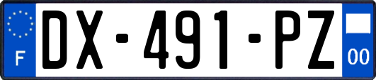 DX-491-PZ
