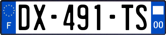 DX-491-TS
