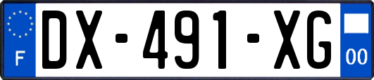 DX-491-XG