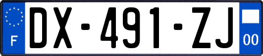 DX-491-ZJ