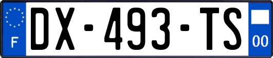 DX-493-TS