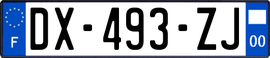 DX-493-ZJ