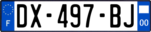 DX-497-BJ