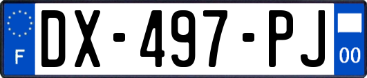 DX-497-PJ