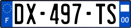 DX-497-TS