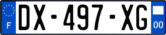 DX-497-XG