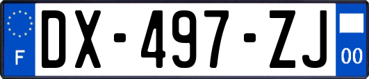 DX-497-ZJ