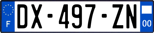 DX-497-ZN