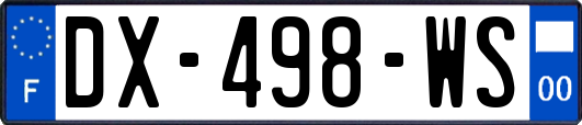 DX-498-WS