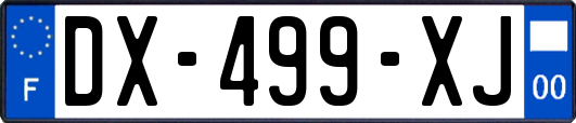 DX-499-XJ