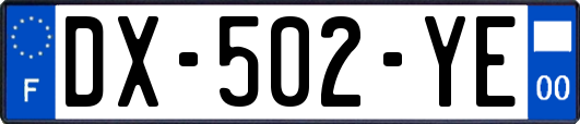 DX-502-YE