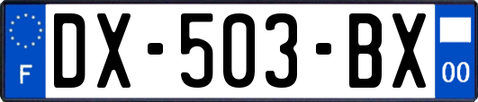 DX-503-BX