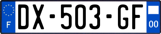 DX-503-GF