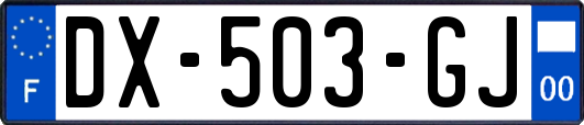 DX-503-GJ