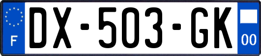 DX-503-GK