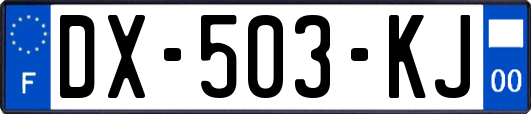 DX-503-KJ