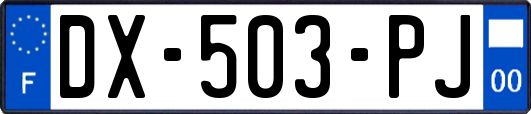 DX-503-PJ
