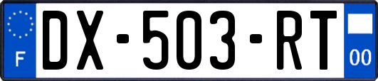 DX-503-RT
