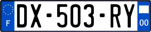 DX-503-RY