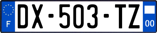 DX-503-TZ