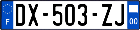 DX-503-ZJ